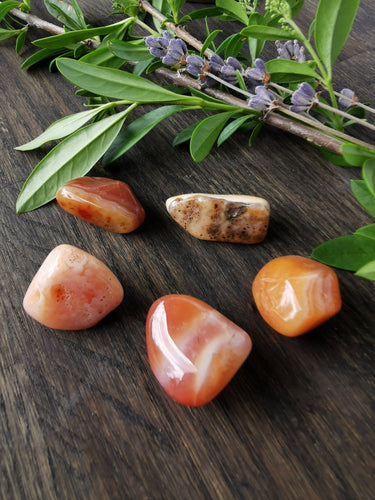 Apricot Agate - tumbled stone