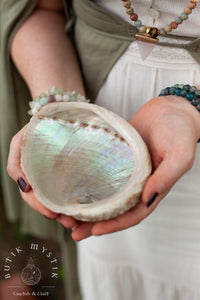 Abalone shell - white large