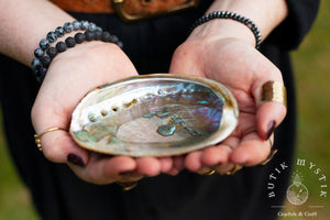 Abalone shell - green small