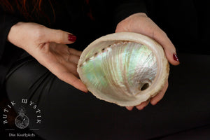 Abalone shell - white small